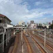 ヒメ日記 2025/09/20 11:07 投稿 今井　真奈美 東京ローズマリー