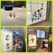 ヒメ日記 2025/10/18 15:37 投稿 今井　真奈美 東京ローズマリー