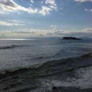 ヒメ日記 2025/11/08 14:57 投稿 今井　真奈美 東京ローズマリー