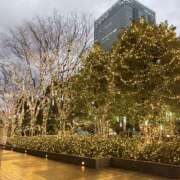 今井　真奈美 イルミネーション 東京ローズマリー