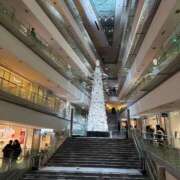 ヒメ日記 2025/12/26 18:47 投稿 今井　真奈美 東京ローズマリー