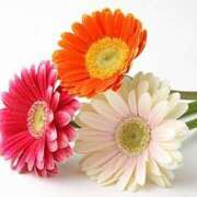 ヒメ日記 2024/12/18 15:45 投稿 かなで 絶対服従！闇鍋会 錦糸町店