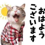 ヒメ日記 2024/12/29 08:53 投稿 かなで 絶対服従！闇鍋会 錦糸町店