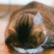 ヒメ日記 2025/12/10 16:50 投稿 みう リアル 梅田店