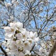 みう 本日18時から♡ リアル 梅田店