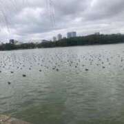 ヒメ日記 2025/03/05 23:28 投稿 板東 りり ハレ系 福岡DEまっとる。