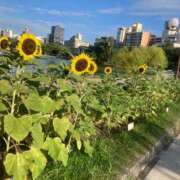 ヒメ日記 2025/08/21 08:57 投稿 板東 りり ハレ系 福岡DEまっとる。