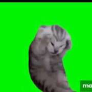 ヒメ日記 2025/12/12 10:17 投稿 板東 りり ハレ系 福岡DEまっとる。