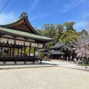 ヒメ日記 2024/12/18 15:49 投稿 今井 ローズマリー大塚