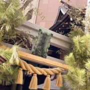 ヒメ日記 2025/01/11 14:09 投稿 今井 ローズマリー大塚