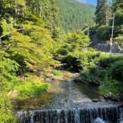 ヒメ日記 2025/06/08 16:44 投稿 今井 ローズマリー大塚