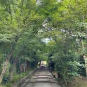 ヒメ日記 2025/06/27 19:54 投稿 今井 ローズマリー大塚