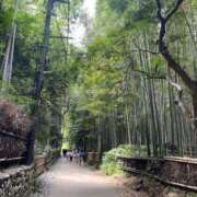 ヒメ日記 2025/07/16 17:34 投稿 今井 ローズマリー大塚