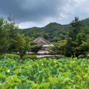 ヒメ日記 2025/07/17 15:04 投稿 今井 ローズマリー大塚