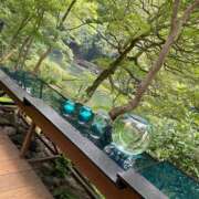 ヒメ日記 2025/08/05 18:14 投稿 今井 ローズマリー大塚