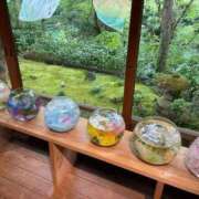 ヒメ日記 2025/08/06 15:34 投稿 今井 ローズマリー大塚