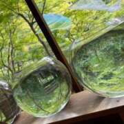 ヒメ日記 2025/08/08 18:04 投稿 今井 ローズマリー大塚