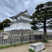 ヒメ日記 2025/08/20 18:14 投稿 今井 ローズマリー大塚