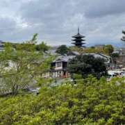 ヒメ日記 2025/08/28 15:04 投稿 今井 ローズマリー大塚