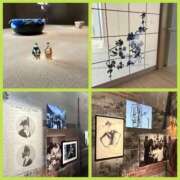 ヒメ日記 2025/10/18 15:44 投稿 今井 ローズマリー大塚