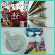 ヒメ日記 2025/10/31 18:54 投稿 今井 ローズマリー大塚