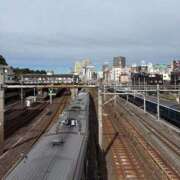 ヒメ日記 2025/11/01 11:14 投稿 今井 ローズマリー大塚