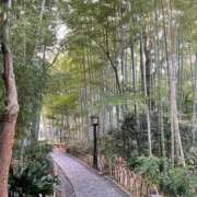 ヒメ日記 2025/11/07 18:44 投稿 今井 ローズマリー大塚