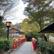 ヒメ日記 2025/11/26 18:14 投稿 今井 ローズマリー大塚