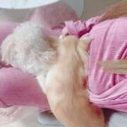 ヒメ日記 2025/10/05 19:19 投稿 ナコ OLの品格 クラブアッシュ