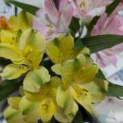 ヒメ日記 2025/02/02 01:28 投稿 やよい 大塚 虹いろ回春