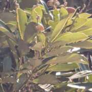 ヒメ日記 2025/03/10 22:09 投稿 やよい 大塚 虹いろ回春