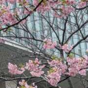 ヒメ日記 2025/03/12 23:19 投稿 やよい 大塚 虹いろ回春