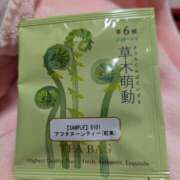 ヒメ日記 2025/03/14 06:13 投稿 やよい 大塚 虹いろ回春