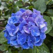 ヒメ日記 2025/07/01 23:27 投稿 やよい 大塚 虹いろ回春