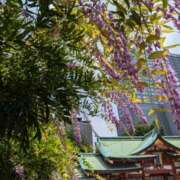 ヒメ日記 2025/07/02 22:13 投稿 やよい 大塚 虹いろ回春