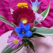 ヒメ日記 2025/10/05 23:47 投稿 やよい 大塚 虹いろ回春