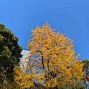 ヒメ日記 2025/11/19 18:05 投稿 やよい 大塚 虹いろ回春