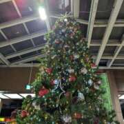 ヒメ日記 2025/12/26 01:55 投稿 やよい 大塚 虹いろ回春