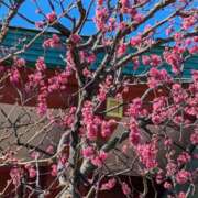 ヒメ日記 2026/02/06 02:23 投稿 やよい 大塚 虹いろ回春