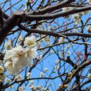 やよい こんばんは(*´∀｀*) 大塚 虹いろ回春