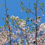 ヒメ日記 2026/04/04 00:09 投稿 やよい 大塚 虹いろ回春