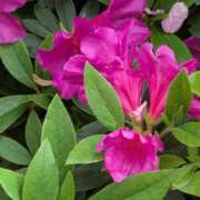 ヒメ日記 2026/04/29 00:53 投稿 やよい 大塚 虹いろ回春