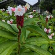 ヒメ日記 2026/09/16 23:26 投稿 やよい 大塚 虹いろ回春