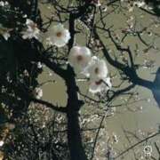 ヒメ日記 2026/04/15 22:26 投稿 アカリ びしょぬれ潮吹秘書