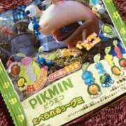 ヒメ日記 2024/12/11 20:00 投稿 レイカ びしょぬれ潮吹秘書