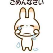 ヒメ日記 2025/04/06 12:00 投稿 レイカ びしょぬれ潮吹秘書