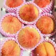 ヒメ日記 2025/08/15 12:00 投稿 レイカ びしょぬれ潮吹秘書