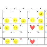 ヒメ日記 2026/04/10 14:00 投稿 レイカ びしょぬれ潮吹秘書