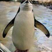 ヒメ日記 2025/10/03 15:34 投稿 りかこ 完熟ばなな梅田