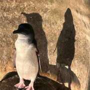 ヒメ日記 2025/12/21 13:14 投稿 りかこ 完熟ばなな梅田